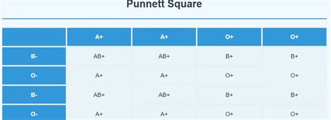 blood volume formula|punnett square blood type calculator.